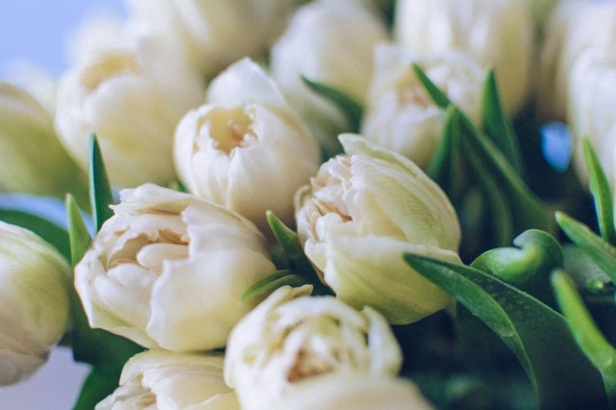 The Lighthouse 5 The Lighthouse - Image 3