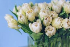 The Lighthouse 8 The Lighthouse -Flower Gift Shop tl61217 3 of 5