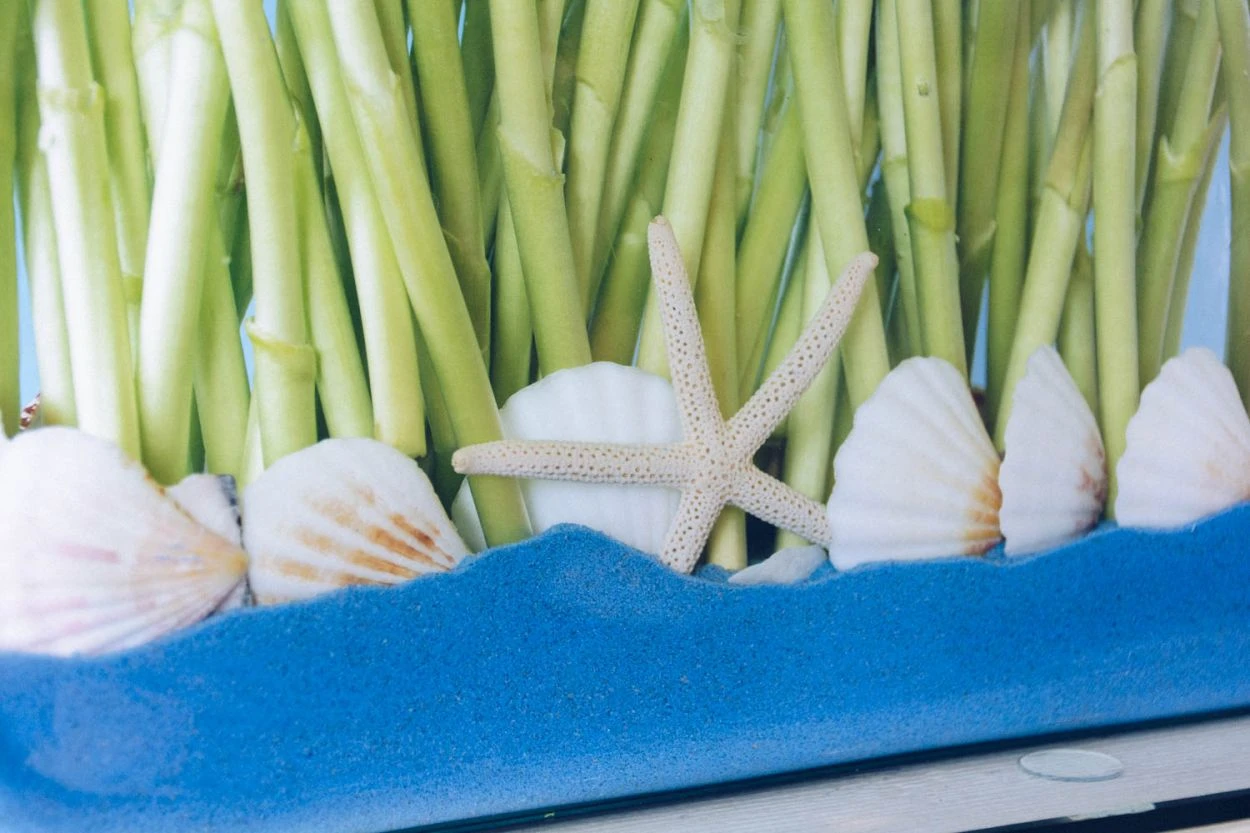 The Lighthouse 7 The Lighthouse - Image 5