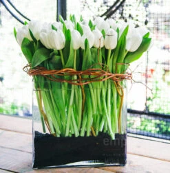 Midnight Tulip Magic