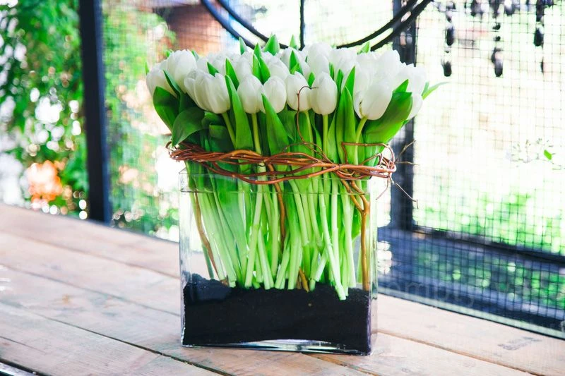 Midnight Tulip Magic 4 Midnight Tulip Magic - Image 2