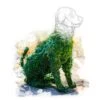Sitting Dog Topiary 1 Sitting Dog Topiary -Flower Gift Shop topiarydrawingl