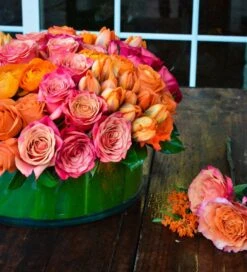 Tulips And Roses, Oh My -Flower Gift Shop tr112116 1