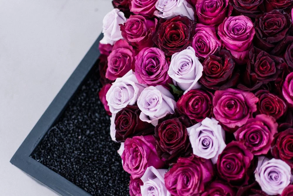 Tragic Love 4 Tragic Love - Image 2