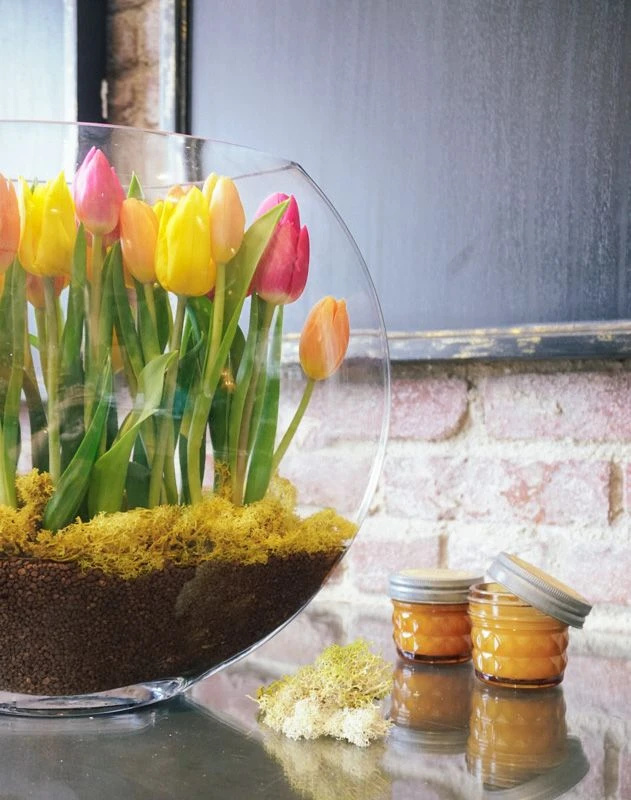 The Tulip Sunrise 4 The Tulip Sunrise - Image 2