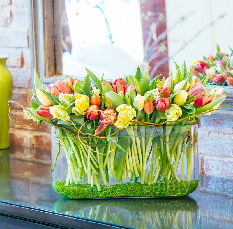 Tenacious Tulips 3 Tenacious Tulips