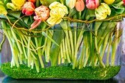 Tenacious Tulips 8 Tenacious Tulips -Flower Gift Shop tt031516 5