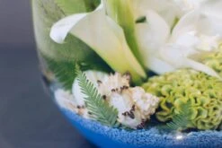 The Siren Call -Flower Gift Shop underwater blue thistle 4 of 5