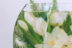 The Tulip Grotto -Flower Gift Shop underwater orchids tulips 1 of 4