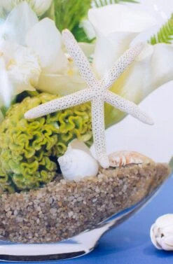 The Tulip Grotto -Flower Gift Shop underwater orchids tulips 2 of 4