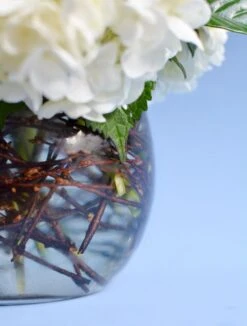 Mixed Whites Roses And Orchids Fishbowl -Flower Gift Shop v115 reshoot 3