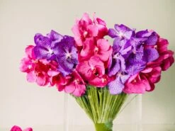 Purple Orchid Rain -Flower Gift Shop vd070716 2