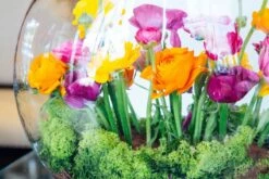 Veil Of The Fairies -Flower Gift Shop vf030216 2