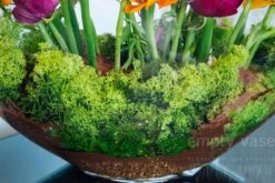 Veil Of The Fairies -Flower Gift Shop vf030216 3