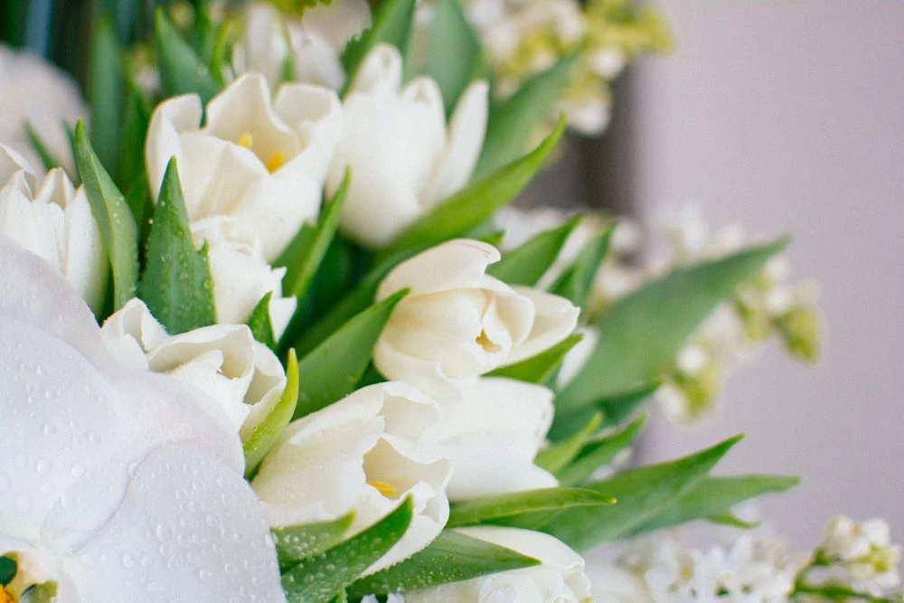 Villa Savoye 4 Villa Savoye - Image 2