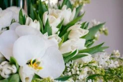 Villa Savoye 8 Villa Savoye -Flower Gift Shop vs40517 6