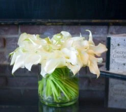 Waltz Of The Calla Lilies -Flower Gift Shop wc110916 4 2