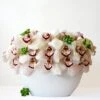White Modern Orchid 2 White Modern Orchid -Flower Gift Shop white1copy2