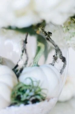 Bewitched -Flower Gift Shop whitepumpkins 1 of 9