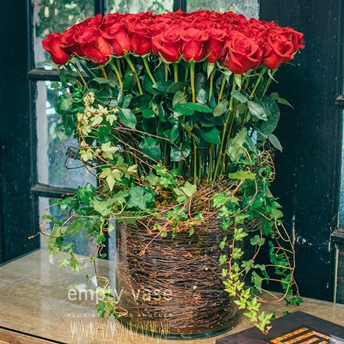 Wild Rose 3 Wild Rose